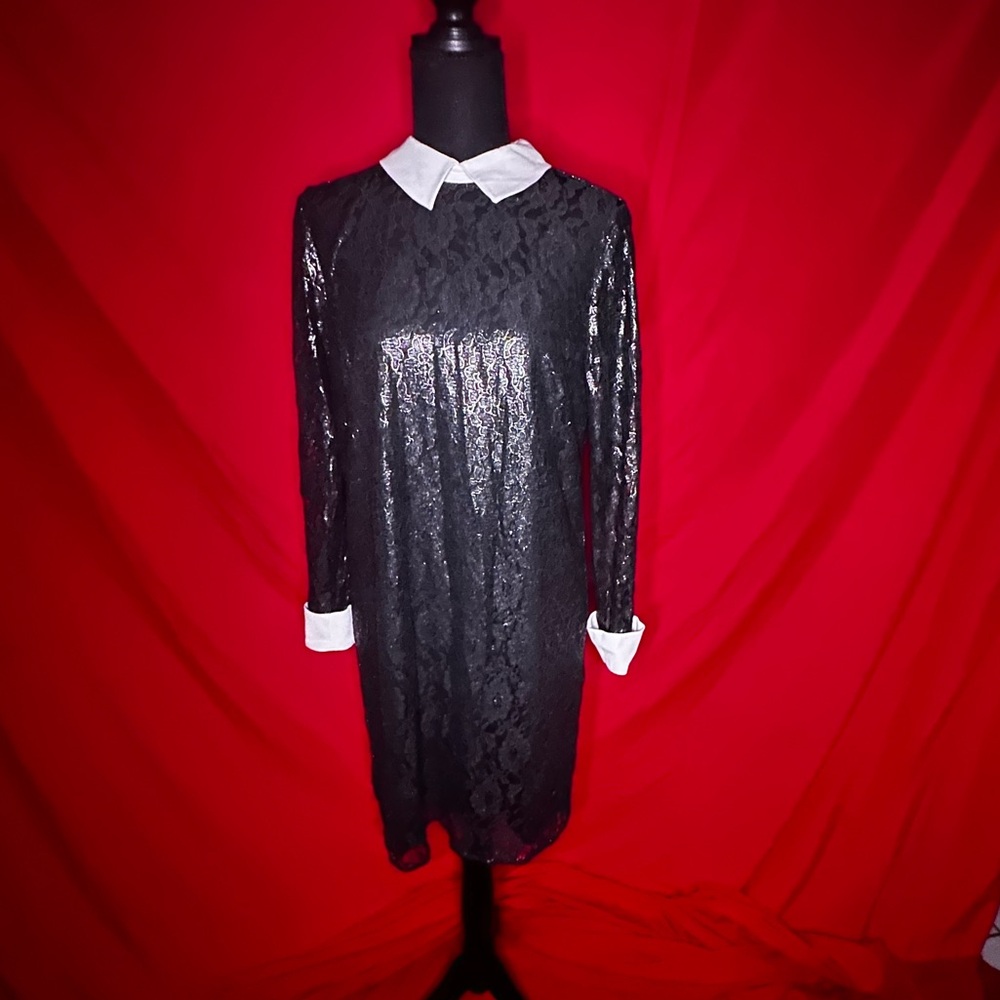 Wednesday Addams meets Michael Kors (Size 8) Lace Black Dress with white collar
